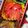 nosso's cooksnap of when they made ミニトマトのマリネ.
