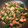 チャマ虎's cooksnap of when they made 簡単：鶏レバーとほうれん草炒め.