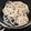 marino97's cooksnap of when they made 蓮根の甘酢漬け.