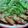 ひなたまま♪♪'s cooksnap of when they made 揚げないのに鮭フライ.