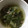 ポメちょん's cooksnap of when they made とろ～り白菜の和風煮込み♪.