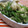 いこたん's cooksnap of when they made あっという間のごま和えの素！.