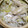 みなッコ's cooksnap of when they made 手羽先で簡単 薬膳鍋 サムゲタン　参鶏湯.
