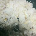 ｆｕｔｕ's cooksnap of when they made あごだしつゆで☆超簡単鯛めし.