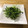 クックKODIYT☆'s cooksnap of when they made 早い♪簡単♪旨い♪豆苗のシャキシャキ炒め.