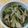 クックIEA950☆'s cooksnap of when they made 簡単！セロリの塩きんぴら.