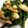 しゃねママ's cooksnap of when they made ちくわとほうれん草の胡麻和え.