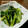 ともみろ's cooksnap of when they made かぶの葉★やみつき炒め.