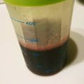 こたせいママ's cooksnap of when they made 種・皮ごと！簡単☆ブドウジュース.