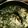 穂拓ﾁｬﾝ's cooksnap of when they made 異常に美味しいモロヘイヤと鶏皮のスープ.
