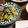 apiﾏﾏ's cooksnap of when they made 冬瓜とベーコンのニンニクしょう油いため.