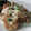 ゆぅたんく's cooksnap of when they made ✾鶏むね肉のねぎマヨ炒め✾.