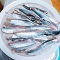 え～にょ's cooksnap of when they made イワシの酢じめ.