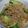 どんころ's cooksnap of when they made 坦々焼きそば.