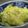 maruru-nn's cooksnap of when they made さつまいも＆じゃがいも☆ミルク煮.
