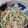 ammy2001's cooksnap of when they made カニカマのわさびマヨ和え。.