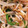 kona8's cooksnap of when they made 超簡単もやし炒め.