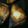 クックQDU3R7☆'s cooksnap of when they made 火加減がコツ！定番ぶりの照り焼き.