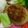 ファファトモ's cooksnap of when they made お弁当にも！簡単おからハンバーグ.