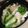 まゆパッド19's cooksnap of when they made 塩だら切り落としの蒸し煮.
