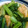 柊さくら's cooksnap of when they made 5分でできる。簡単小松菜と厚揚げの煮物.