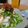 ダイナマイト漆黒's cooksnap of when they made 食べるラー油で☆大根サラダ.