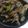 korkor7's cooksnap of when they made 豚肉とキノコのどんぶり.
