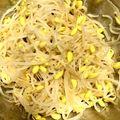 チビダビ's cooksnap of when they made ご飯がススム☆簡単おいしいモヤシのナムル.