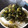 ☆メル♪'s cooksnap of when they made 大根葉の生ふりかけ♡.