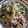 ゆきゆき0119's cooksnap of when they made 安くて大満足！もやしとニラの炒め物.