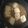 クック37HP79☆'s cooksnap of when they made 焼き豆腐のみぞれ煮.