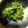 Marmo's cooksnap of when they made セリとほうれん草のおひたし.