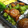 naomixx's cooksnap of when they made いんげんのオイスターころころ炒め.