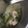 クック8S09BZ☆'s cooksnap of when they made ☆簡単さっぱり柚子胡椒スープ☆.