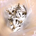 ステルトミチル's cooksnap of when they made 保存＊冷凍しめじ.