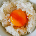 ＡＲＩＡ☆'s cooksnap of when they made ご飯の友☆彡卵黄漬け.