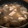 nobumuu's cooksnap of when they made かぶと鶏ひき肉のあったか♪とろみスープ.