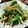 cocoroの扉's cooksnap of when they made きんぴらと水菜のサラダ.