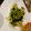 eiyoushi's cooksnap of when they made 小松菜とツナの和え物.
