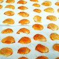 chicccccca's cooksnap of when they made 簡単☆富有柿のドライおつまみ（干し柿）.