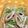 ぽぽきゅ's cooksnap of when they made 竹輪と水菜のゴマたっぷりサラダ.