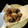marukuro's cooksnap of when they made 里芋のから揚げ.
