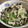 クックHEDQSC☆'s cooksnap of when they made ☆しめじと水菜のごまドレマヨわさびあえ☆.
