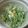 きくこ♪'s cooksnap of when they made 食感がいい水菜卵サラダ.