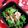 ピー©'s cooksnap of when they made 豚肉とピーマンの味噌バター炒め.