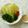 えりべえ's cooksnap of when they made ブロッコリー(野菜)のマヨぽんソース.