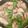 to1956's cooksnap of when they made 鶏もも肉のバターワインビネガー焼き.