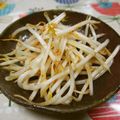 ジョンリークッカー's cooksnap of when they made もやしを袋からフライパンへ。30秒.