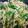 クック72☆'s cooksnap of when they made 簡単☆もやし・エリンギのめんぽん炒め.