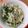 Ｎよんよん's cooksnap of when they made かんたん♪若芽ひじきともやしの梅ナムル.